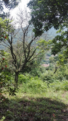 行吗