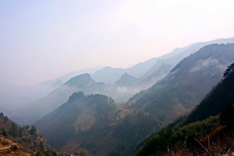 风景